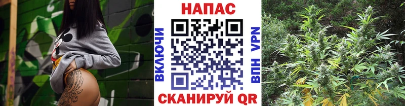 Как найти наркотики Светлоград Канабис Галлюциногенные грибы Гашиш Меф мяу мяу Амфетамин