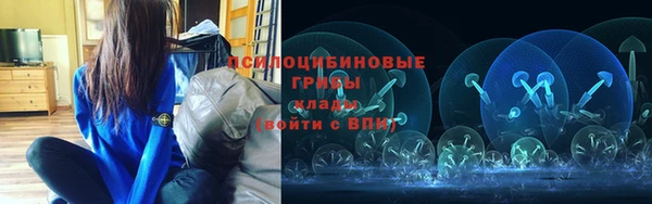 сатива Алексин