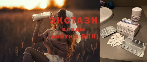 стаф Алзамай