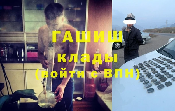 стаф Алзамай