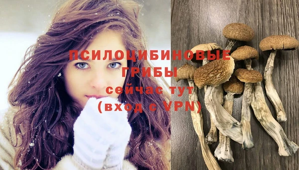 сатива Алексин