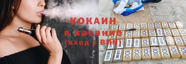 стаф Алзамай
