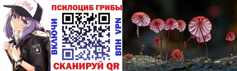 Галлюциногенные грибы GOLDEN TEACHER hydra ссылки Светлоград